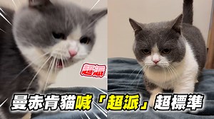 22K views · 614 reactions | 咬字超級清楚！（＃小雁子） 影片授權：IG／_mannydepp_ IG：https://www.instagram.com/_mannydepp_/ | ETtoday寵物雲 | Facebook