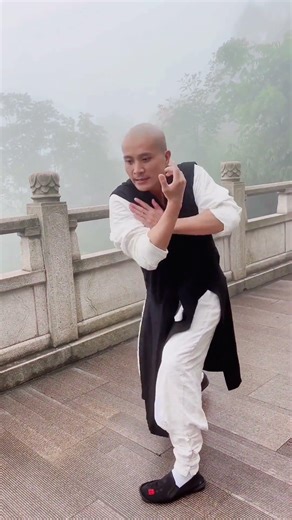 中国功夫十八般武艺每天更新 #martialarts #JackieChan #Chinese Kung Fu#kungfu