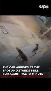 On CCTV, Bengaluru Audi Driver Runs Over Dog – Deliberately