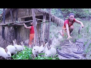 Build roof and Provide food for rabbit- Catch a lot fish and Fish braised spicy delicious for dinner
