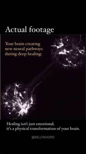 Actual footage of your brain doing the work!