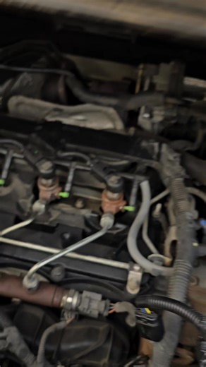 What bright spark put this nut there? | Jimmy O'Riley