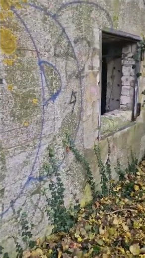 Lost Place tief im Wald #lostplace #metaldetecting #geocaching