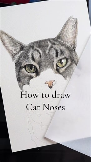 Cat Nose Drawing Tutorial for Artists