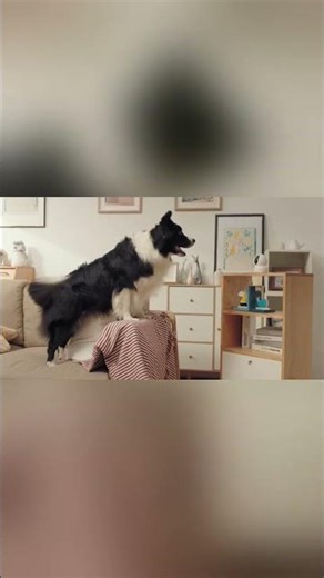 Ezviz C6N 2MP Smart Wifi Pan Tilt IP Camera CCTV Indoor 1080p