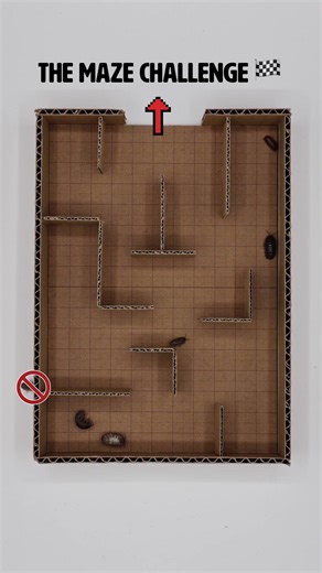 7 Armored Racers! 🏁 Pill Bug Maze Challenge! 🧪