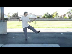 Cheng Man Ching Tai chi 37 short form - back view (鄭子太極37式)