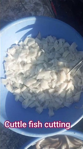 cuttle fish cuttings