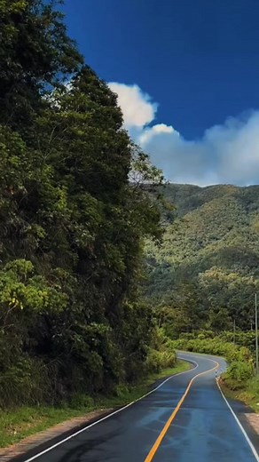 Itutuloy ko | Movie Clips