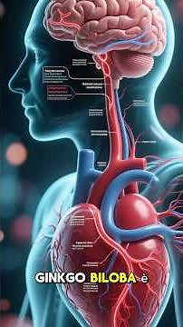 Ginkgo Biloba: l’albero della memoria e della longevità #ginkgobiloba #memoria #concentrazione