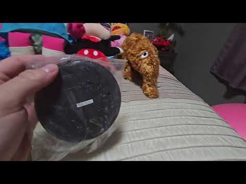 Unboxing Another Baby Einstein Toy For Plushies