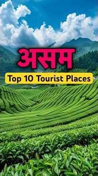Assam Top 10 Tourist Places | Assam Tourist Places #assam #assamtourism #touristplace