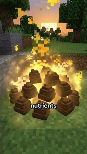 Why do dogs like to eat poop?#dog #animals #minecraft