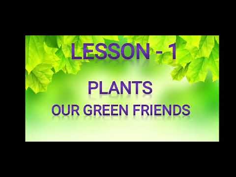 Class 4 || Science || Chapter 1 - Plants- Our Green Friends (revision)