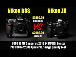 Nikon D3S VS Nikon Z6 Quick ISO Comparison Test