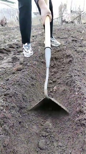 Rural Farmer #countrylife #satisfying #farmlife #agriculture # 101034 #rurallife #garden #gardening