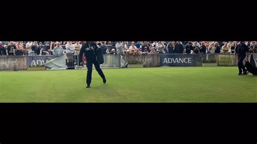 1.6K views · 32 reactions |  Who let the dogs out?  Come and find out at the NSW Police Academy Open Day! Meet our incredible police dogs in action — see their skills, speed, and loyalty up close. A family-friendly day packed with excitement, history, and a behind-the-scenes look at Academy life.  27th September ️ Book your FREE tickets via the link in bio #academyopenday #nswpolice | NSW Police Force Academy | Facebook