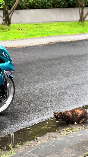 sad ni yee #aerox #aeroxmodifikasi #aeroxalpha #ogahjinjit #indostyle🇲🇨