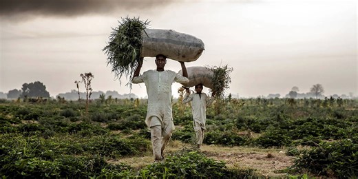 Understanding Pilot Salaries: A Deep Dive into Singapore Airlines Compensation Trends in 2024 – Archyde