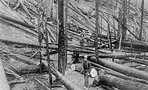 How did modern firefighting methods begin? WATCH "The Fires of 1910" by the National Interagency Fire Center in Boise, Idaho - The 2nd of 4 films about wildfires & fire prevention SATURDAY at 10pm & SUNDAY at 4pm ET on C-SPAN3 - "Initial Attack: Fire!" (1979) California Forestry Department - "The Fires of 1910" (2010) National Interagency Fire Center - "Little Smokey" (1953) U.S. Forest Service - "Your Fire Department" (1949) Los Angeles Fire Department Series: https://www.c-span.org/series/?ree