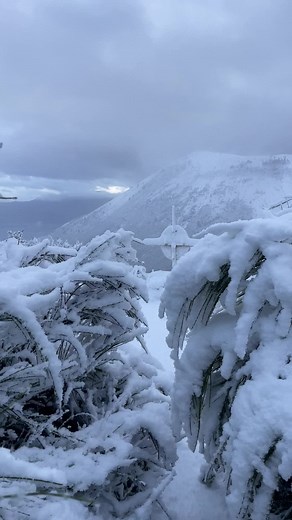 La bellezza invernale del Vesuvio svelata