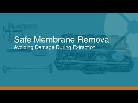 Safe Membrane Removal: Avoiding Damage During Extraction