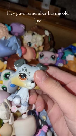 idk what gen this is but I got it when I was young😋#fyp #viral #lps #littlestpetshops #oldlps