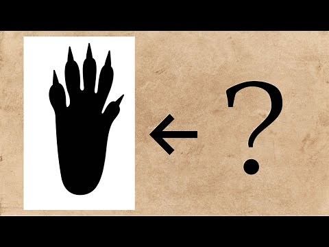 Creature footprint quiz