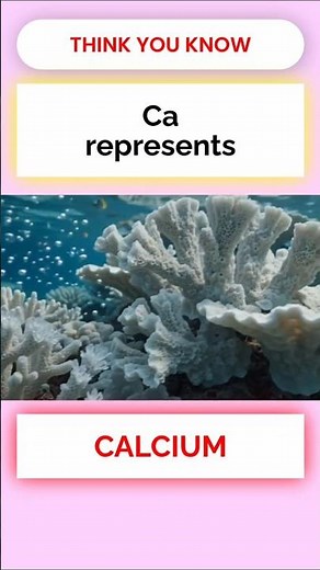 Periodic Table Symbols Quiz