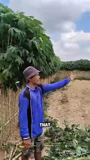 Profitable farm security hack #viral #trending | Factual Reels