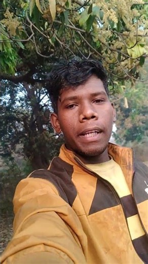 Aam ke ped par Aam Ka Phool Aa chuka He | Mini Vlog | Village Vlog Trending Shorts #shorts #viral