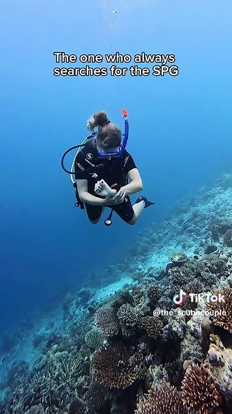 Discover Your Diver Personality: Types of Scuba Divers