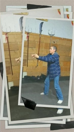 southern praying mantis //