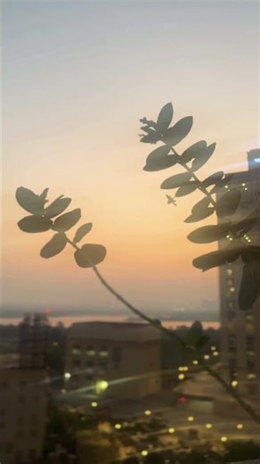#top #morning #sunrise #happy #dailyvlog #reels #treanding #popular #like #share #youtubeshorts