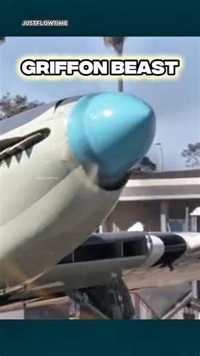 Fairey Firefly Mk.6 – Griffon 74 Naval Fighter in Action” #military