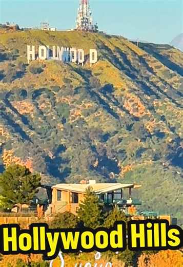 See Hollywood Sign and Los Angeles Skyline from the Hills on a beautiful Sunset Hike. Enjoy nature in the heart of the city with a beautiful escape in LA ⛰️🐕🌟 #visitla #losangeles #sunset #hikes #hollywoodhills