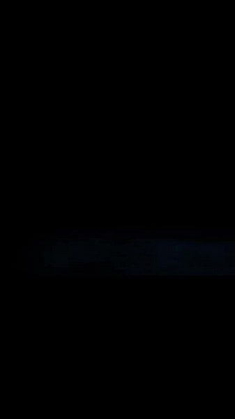 Alien Project Video Confirmacion en Palenque