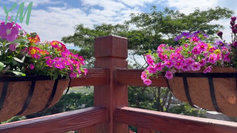 Y&M 2pcs 24 Inch Window Deck with Coco Liner, 24" Window Boxes Horse Trough with Coconut Coir Liner, Black Metal Hanging Flower Planter Window Basket Deck Railing Planter Boxes for Outdoor Indoor