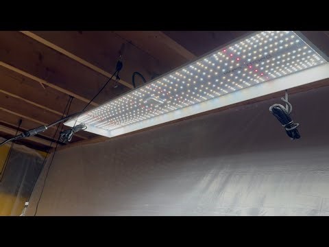 Installing my brand new MarzHydro TSL-2000 full spectrum LED light in the greenhouse