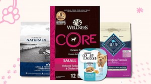 The 13 Best Dog Foods for Pomeranians [ 2023 ]