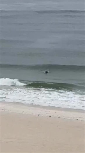 Spotted at Orange Beach this morning… Video from Emily Hayes | James Spann