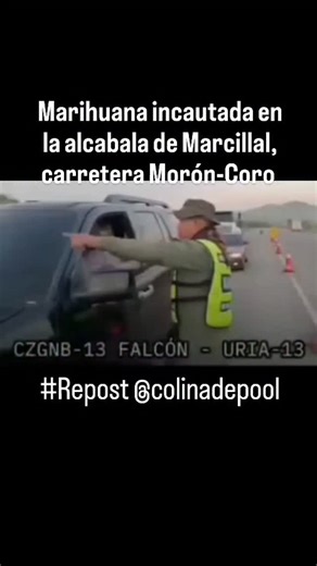 Chichiriviche sin Mordaza on Instagram: "Marihuana incautada en la alcabala de Marcillal, carretera Morón-Coro #Repost @colinadepool ... Funcionarios adscritos al segundo pelotón del Destacamento de Comandos Rurales 13-2 acantonados en Mirimire, municipio San Francisco del Comando de Zona de la Guardia Nacional Bolivariana en el estado Falcón incautó 186 panelas de marihuana ocultas dentro de una camioneta Ford Explorer, color negro, sometida a revisión en la alcabala de Maicillal, carretera nac