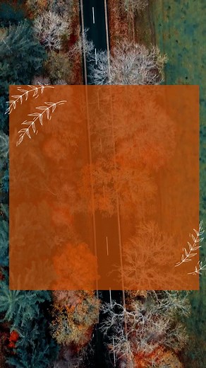 1.4K views · 17 reactions | Morning Inspiration... #plusmodelmag | Plus Model Magazine | Facebook