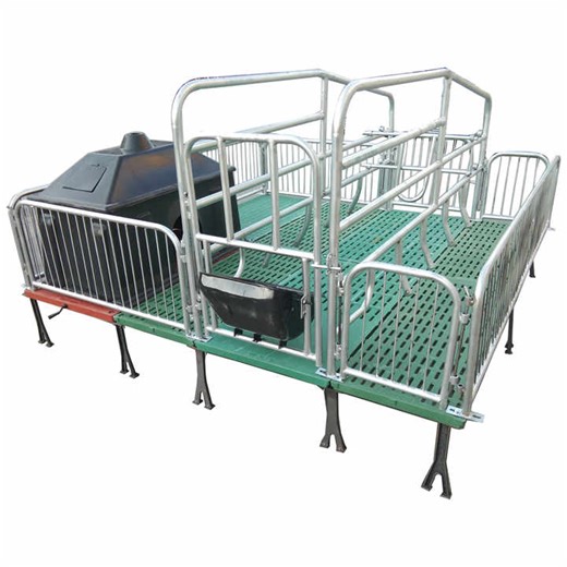 Pig Farm Equipment Stall System Farrowing Crate Pig Farrowing Pen for Sale