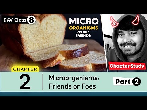 Chapter 2 | Microorganisms: Friends and Foes | Class 8 DAV Science | Chapter Study (Part 2) 🔥🔥🔥
