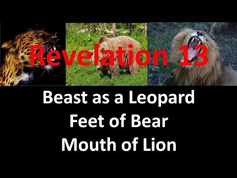 Bible Prophetic Meaning of Leopards, Bears and Lions (The Beast of Revelation 13)