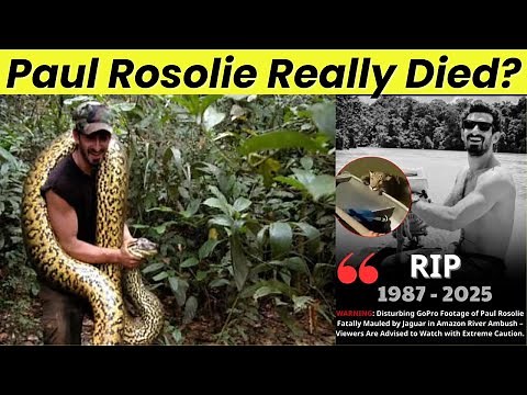 Did Paul Rosolie pass away? Amazon Explorer Mauled by Jaguar Claim Debunked