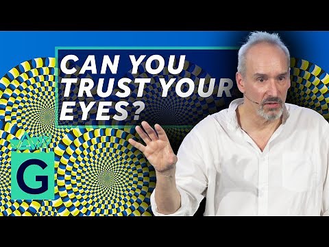 The Deceived Brain: Coding and Illusion - Alain Goriely