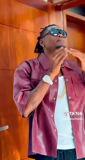 Pallaso's Vibrant Live Performance Highlights