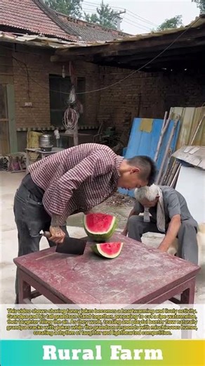 Rural Funny Jokes: Grandpa with High Grandson Cutting Watermelon During Joking Each Other